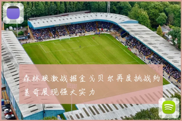 森林狼激战掘金戈贝尔再度挑战约基奇展现强大实力